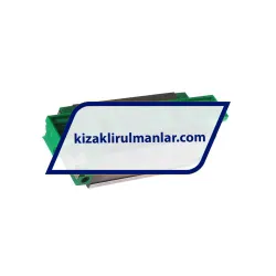 INA KWVE25-B-HL-V0-G4 rulman resim 2