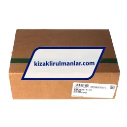 INA KWVE25-B-HL-V0-G2 rulman resim 4