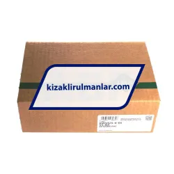 INA KWVE25-B-ES-V1-G4 rulman resim 4