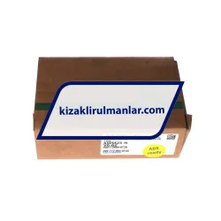 INA KWSE25-H-V0-G2 rulman resim 4