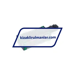 INA KWSE20-HL-V2-G2 rulman resim 2