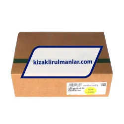 INA KWVE25-B-SL-V2-G3 rulman resim 4