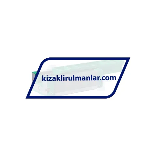 INA KWVE20-B-SL-V0-G4 ürün fotoğrafı 2