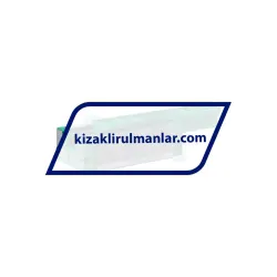 INA KWVE20-B-SL-V0-G4 rulman resim 2
