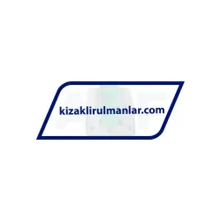 INA KWVE20-B-SL-V0-G4 rulman resim 3