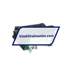 INA KWSE30-RROC-V2-G3 rulman resim 2