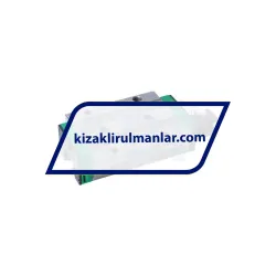 INA KWSE25-L-V2-G2