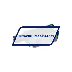 INA KWSE25-L-V2-G2 rulman resim 2