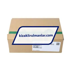 INA KWSE25-L-V2-G2 rulman resim 4