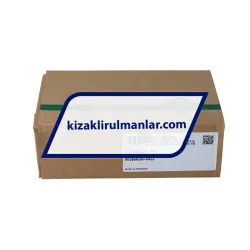 INA KWSE25-HL-V2-G2 rulman resim 4