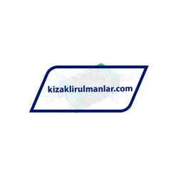 INA RWU25-E-H-V3-G2