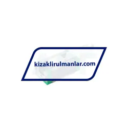 INA RWU25-E-H-V3-G2 rulman resim 2