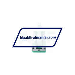 INA RWU25-E-H-V3-G2 rulman resim 3