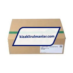 INA RWU25-E-H-V3-G2 rulman resim 4