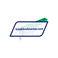 INA KWVE25-B-SN-RROC-V2-G3 rulman resim 2