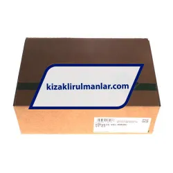 INA KWVE25-WL-RROC-V1-G3 rulman resim 4