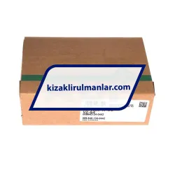 INA KWVE20-W-UG-V0-G4 rulman resim 4