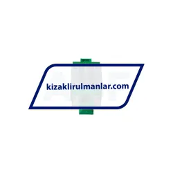 INA KWVE20-B-S-UG-V1-G3 rulman resim 2