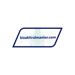 INA KWVE25-B-ESC-V2-G4 rulman resim 2