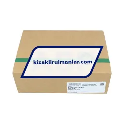 INA KWVE25-B-ESC-V2-G4 rulman resim 3