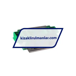 INA KWVE20-B-L-V0-G3 rulman resim 2