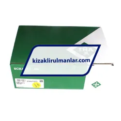 INA RWU45-E-V4-G1 rulman resim 4