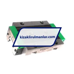 INA RWU55-E-L-V4-G3