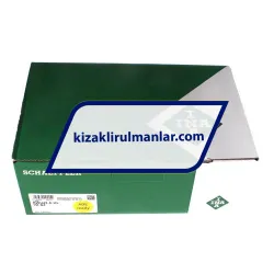 INA RWU45-E-HL-V2-G2 rulman resim 4