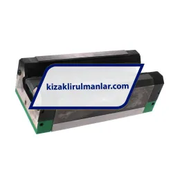 INA RWU55-E-HL-V3-G1 rulman resim 2