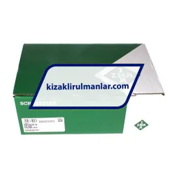 INA KWVE45-B-V1-G3 rulman resim 4