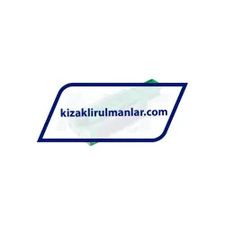 INA KWVE30-B-SNL-V0-G3 rulman resim 2