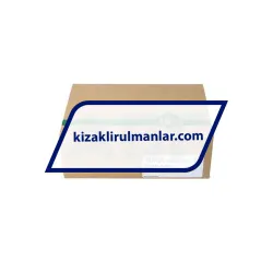 INA KWVE30-B-SNL-V0-G3 rulman resim 4