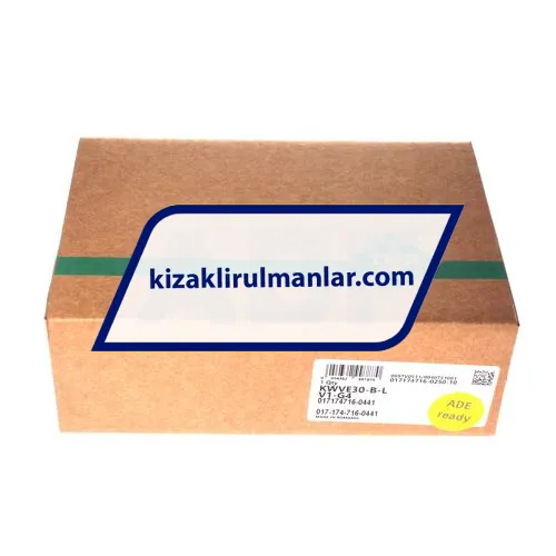 INA KWVE30-B-L-V1-G4 ürün fotoğrafı 4
