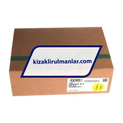 INA KWVE25-B-S-V1-G1 rulman resim 4
