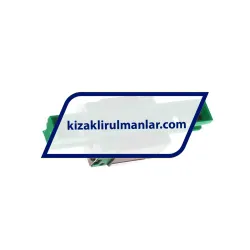 INA KWVE15-B-ESC-V2-G4 rulman resim 2