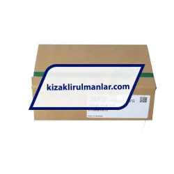 INA KWVE15-B-ESC-V0-G1