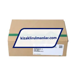INA KWSE25-L-V2-G1 rulman resim 4