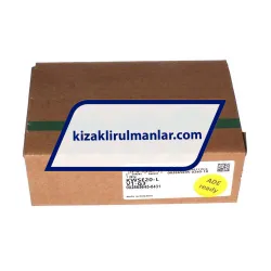 INA KWSE20-L-V1-G3 rulman resim 4