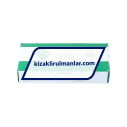 INA KWEM09-W-G2-G2/B_V1 rulman resim 2