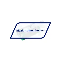INA RWU25-E-HL-V1-G2 rulman resim 2