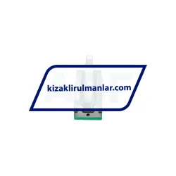 INA RWU25-E-HL-V1-G2 rulman resim 3