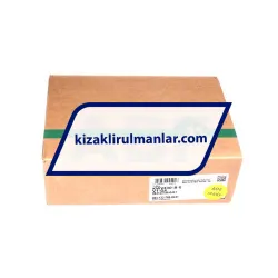 INA KWVE30-B-E-V1-G4 rulman resim 4