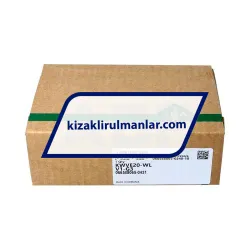 INA KWVE20-WL-V2-G3 rulman resim 4
