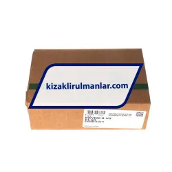 INA KWVE20-B-UG-V1-G1 rulman resim 4