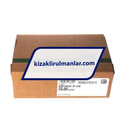 INA KWVE20-B-UG-V0-G2 rulman resim 4