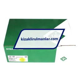 INA KWVE45-B-NL-V1-G2 rulman resim 4
