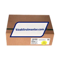 INA KWVE25-B-V1-G4 rulman resim 4