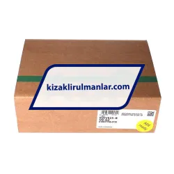 INA KWVE25-B-V0-G2 rulman resim 4