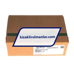 INA KWVE20-B-NL-V0-G1 rulman resim 4