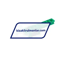 INA KWVE20-B-ESC-V1-G4 rulman resim 2